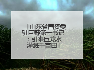 山东省国资委驻巨野第一书记：引来巨龙水 灌溉千亩田